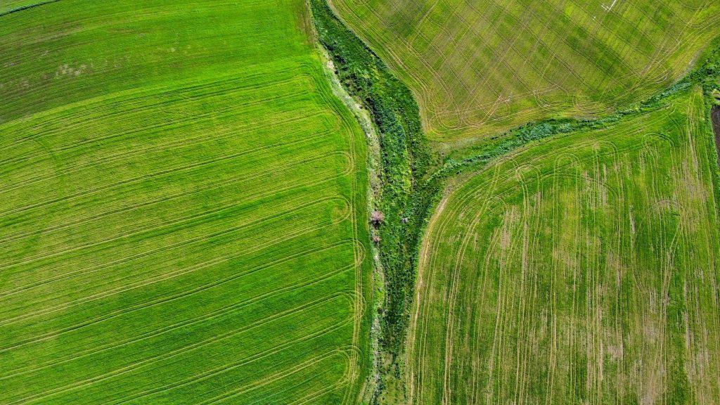 aerial view of agricultural fields